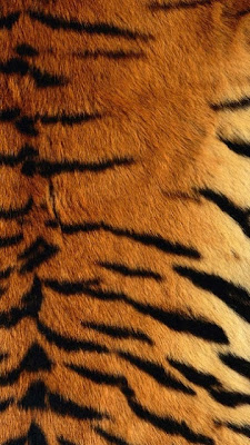 Tiger skin download free wallpapers for mobile