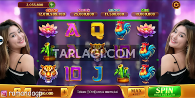 Higgs Domino RP Tema Shannon Wong Full Slot