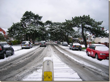 snow 019