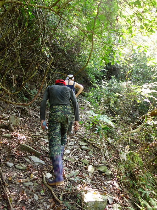 2014_0101-0105 萬山神石、萬山岩雕順訪萬頭蘭山_0031