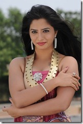 actress nisha latest hot photoshoot pic