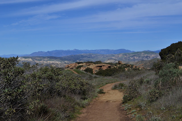 middle distance Marr Ranch view