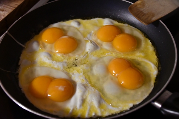 speilegg stektegg egg