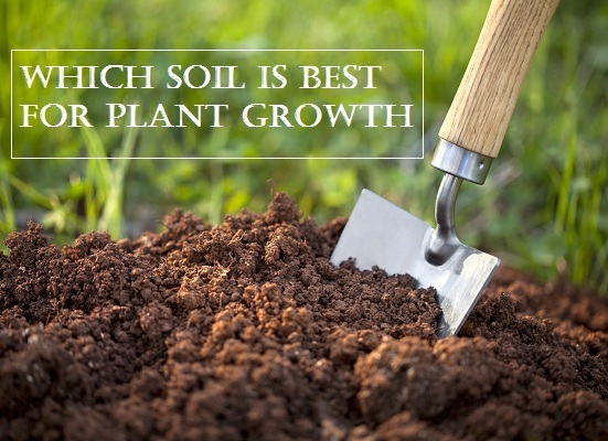 soil