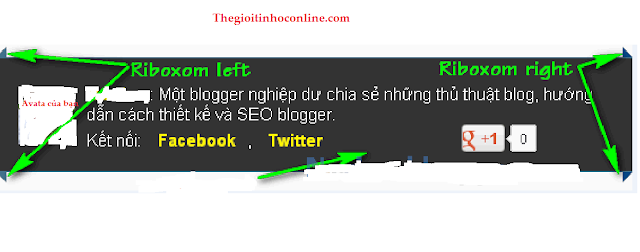 Khung Author box đẹp từ CSS cho blogger