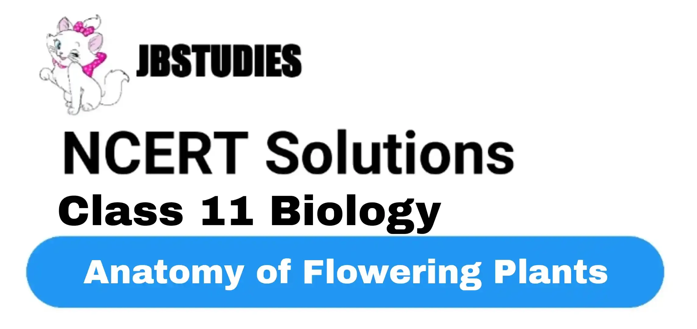 Solutions Class 11 Biology Chapter -6 (Anatomy of Flowering Plants)