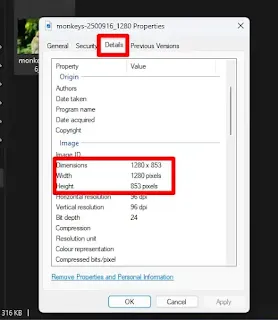 Cara Cek Resolusi Foto di Laptop Windows dan Android