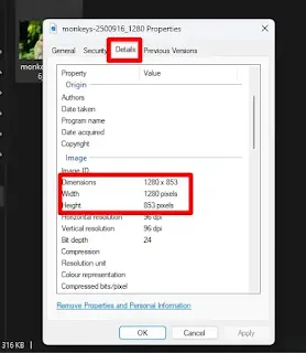Cek Resolusi Foto Menggunakan Properties