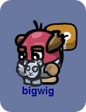 BigWig-YY
