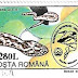 1994 - Romênia - Vipera ursinii