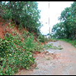 View album