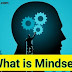 What is Mindset , Types of Mindset , How to improve your Mindset , Fact Vatika 