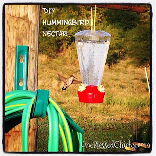 Save money with DIY Hummingbird Nectar made with 1 part sugar and 4 parts water. OneBlessedChicky.com