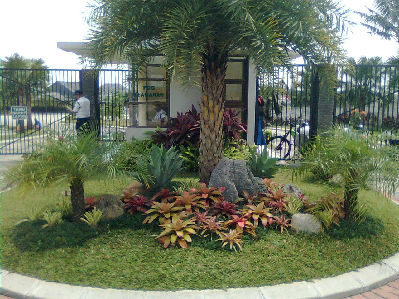 how to landscape a garden Related : Palms landscape ideas | 1280 x 960