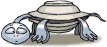 Tartaruga. (4)