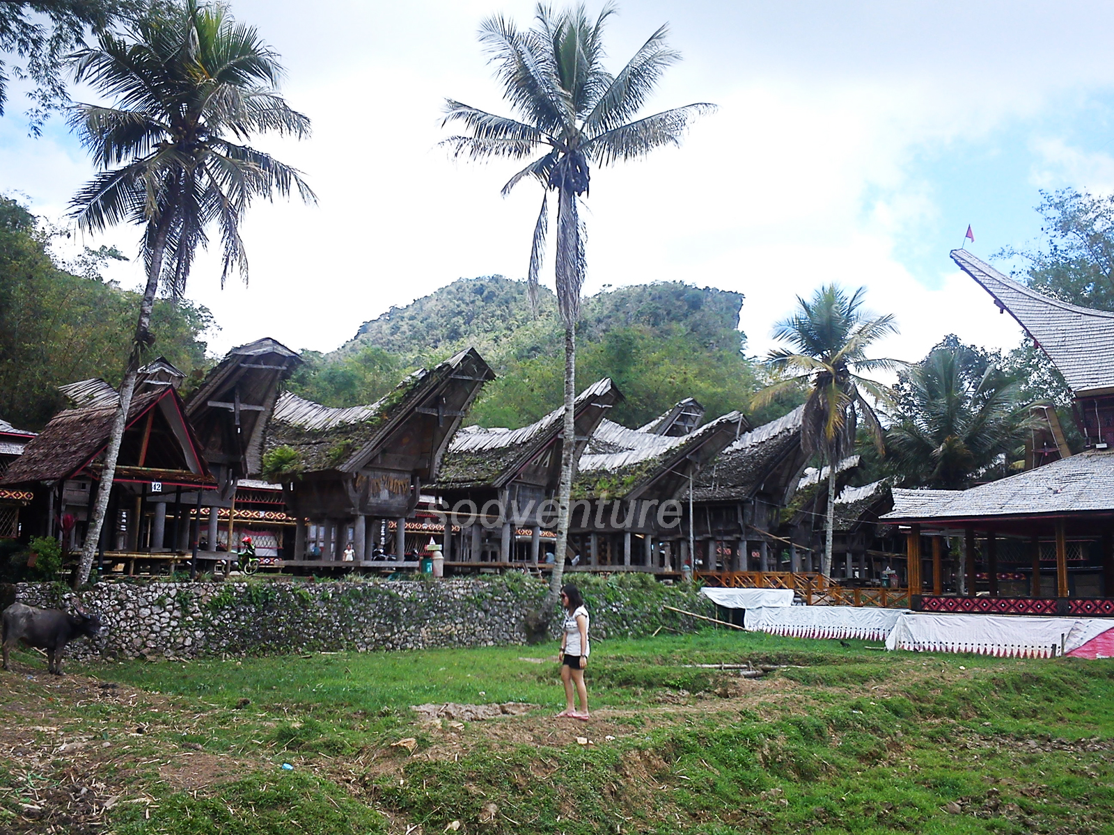 Sodventure Tana Toraja