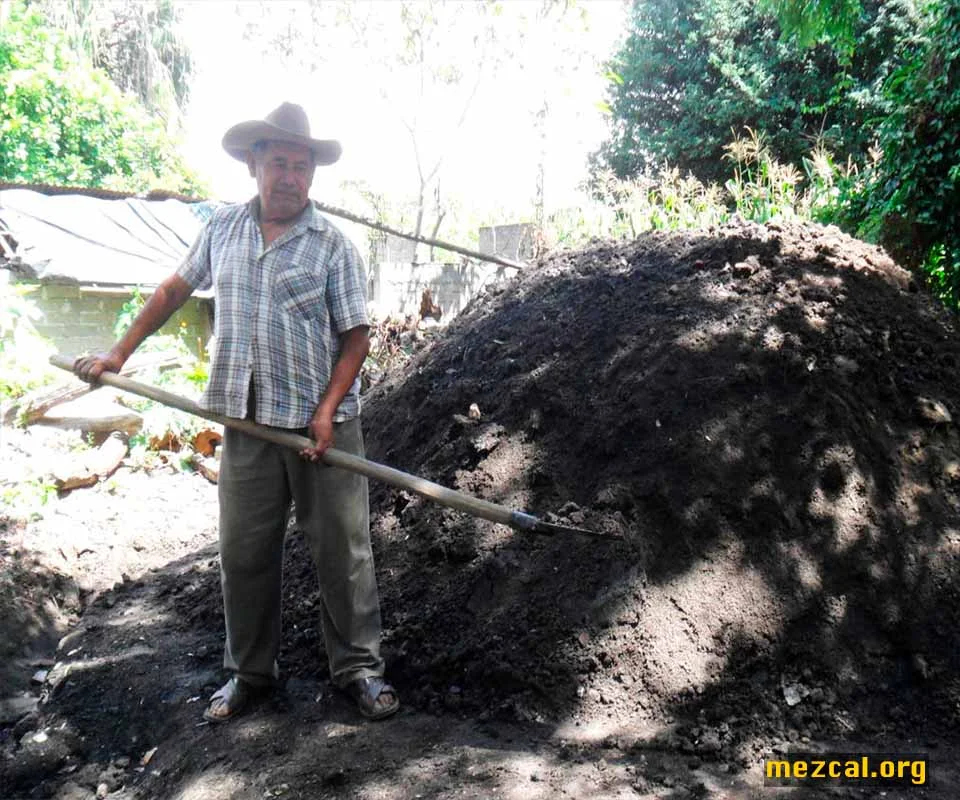 Cooking or tapping of the maguey in San Agustin Amatengo. Mezcal,Mezcal,San Agustin Amatengo,Palenques,Oaxaca,Cooking