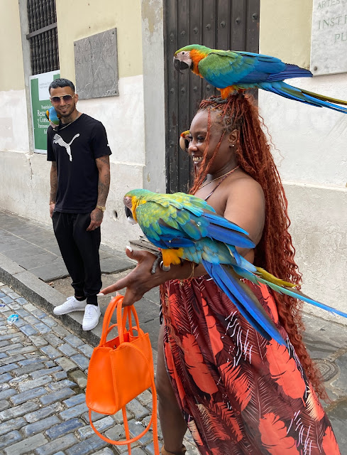 JUST ANOTHER DAY IN OLD SAN JUAN  © Mary Becker Weiss