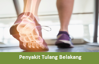  kita akan membahas banyak sekali macam kelainan atau gangguan pada tulang belakang Fungsi dan  Macam-Macam Kelainan Tulang Belakang