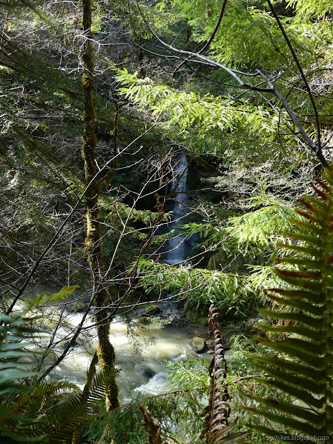 12: waterfall with many trees hiding it