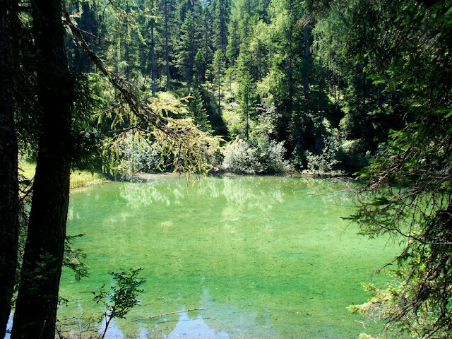 Trekking facili in Cadore Dolomiti venete