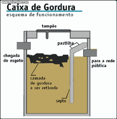 desenho caixa gordura