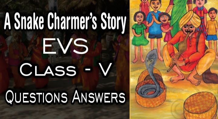 A Snake Charmer’s Story Class 5 EVS chapter 2 Questions Answers