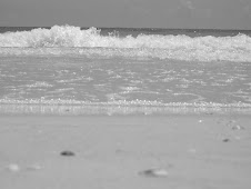 Anna Maria Island