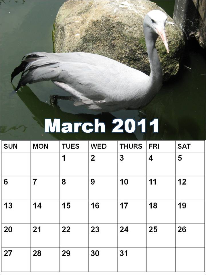 blank calendar march 2011. Templates for all months of printablelearn You excel calendar ready March+2011+lank+calendar White lank calendarlearn how to page with plenty these These