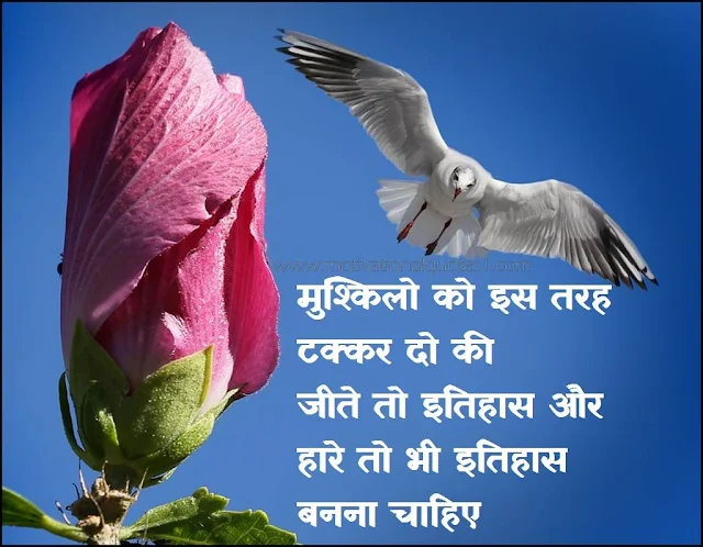 Suvichar In Hindi | सुविचार हिंदी मे 250, 20+ Best Hindi Suvichar Status for whatsapp, Heart Touching Suvichar in Hindi,