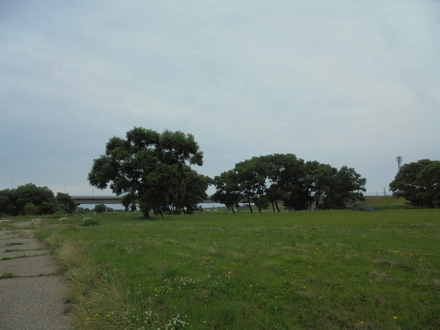 日野川の日吉津公園