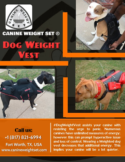 dog weight vest