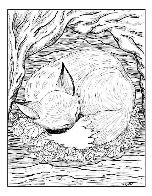 Free Adult Coloring Pages  Fox Coloring Page