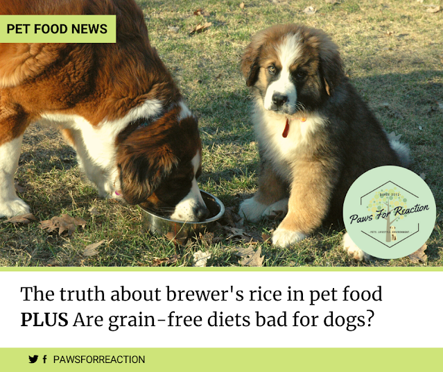 The truth about brewer's rice in pet food