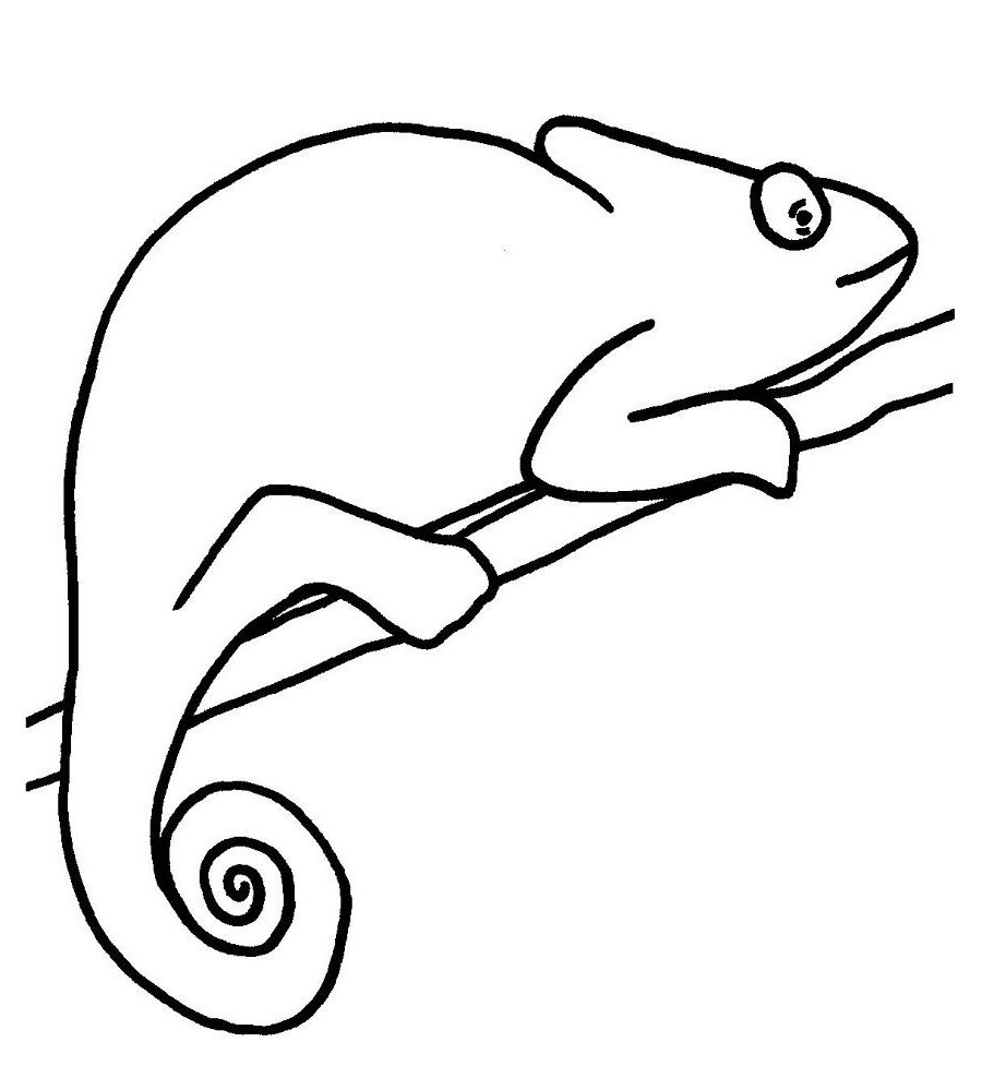 animals coloring page