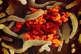 Coronavirus के कारण येे कंपनी मुफ्त दे रही है,300Mbps तक की स्पीड, असीमित डेटा भी,Coronavirus new update data speed plans