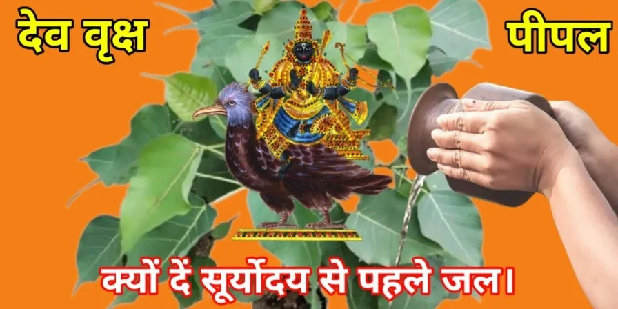 Peeple Ka Mahatva: पीपल वृक्ष की पूजा क्यों होती है? शनि देव काले व लंगड़े क्यों हैं? शनि भगवान 5 साल तक किसी भी बच्चे पर अपना प्रभाव क्यो नहीं दे पाते हैं?