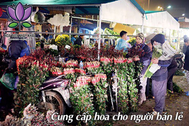 Hoa hong do cam canh xoan B500