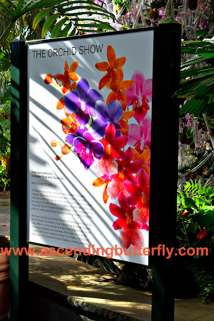 Orchid Show Signage at New York Botanical Garden Orchid Show 2018 #OrchidNYBG