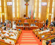 Senate steps down 2016 FIRS budget