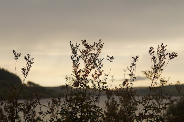 walking around Usk reservoir in Brecon Beacons National Park