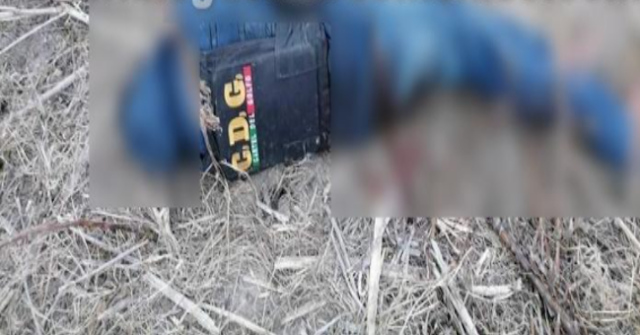 "Aun estaban empecherados", Así encontraron los cuerpos de 6 Sicarios del Cártel del Golfo que recibieron el tiro de gracia en Reynosa; Tamaulipas