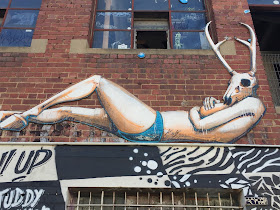 Melbourne- Street art of Coleengwood and Fitzroy