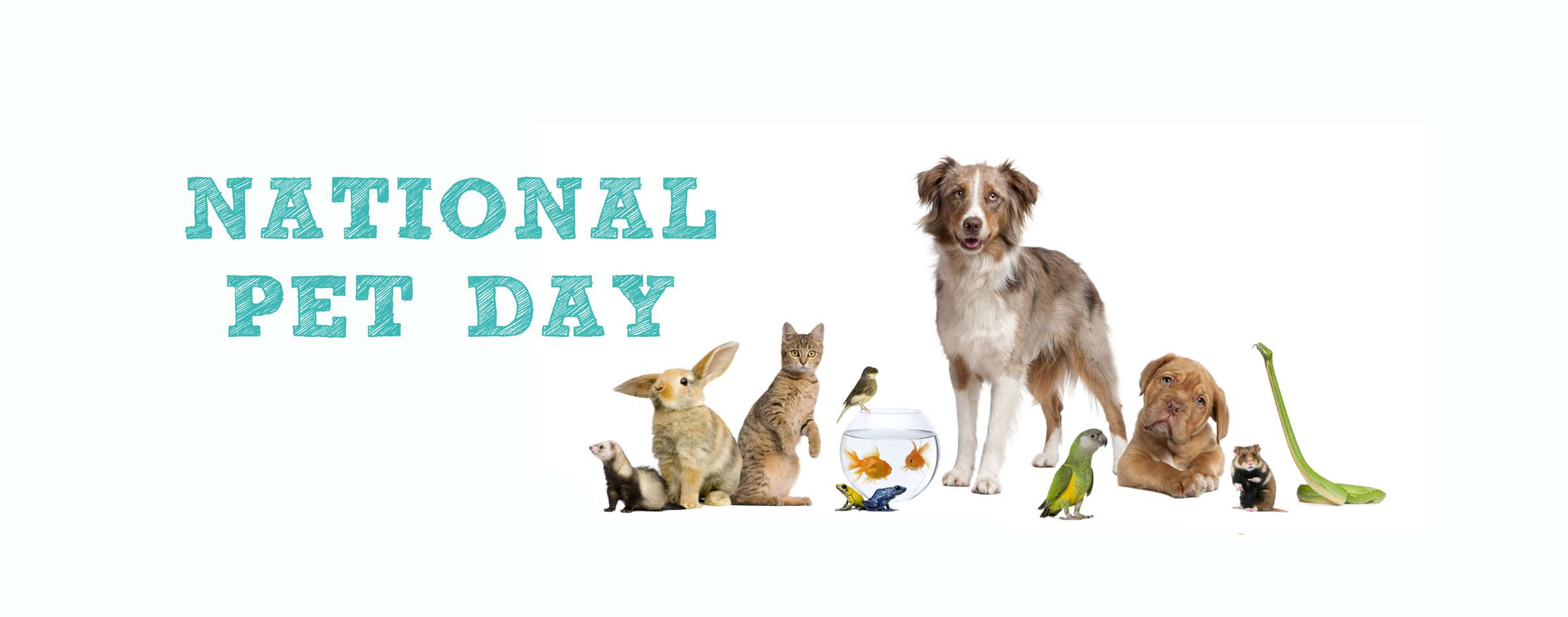 National Pet Day Wishes Images