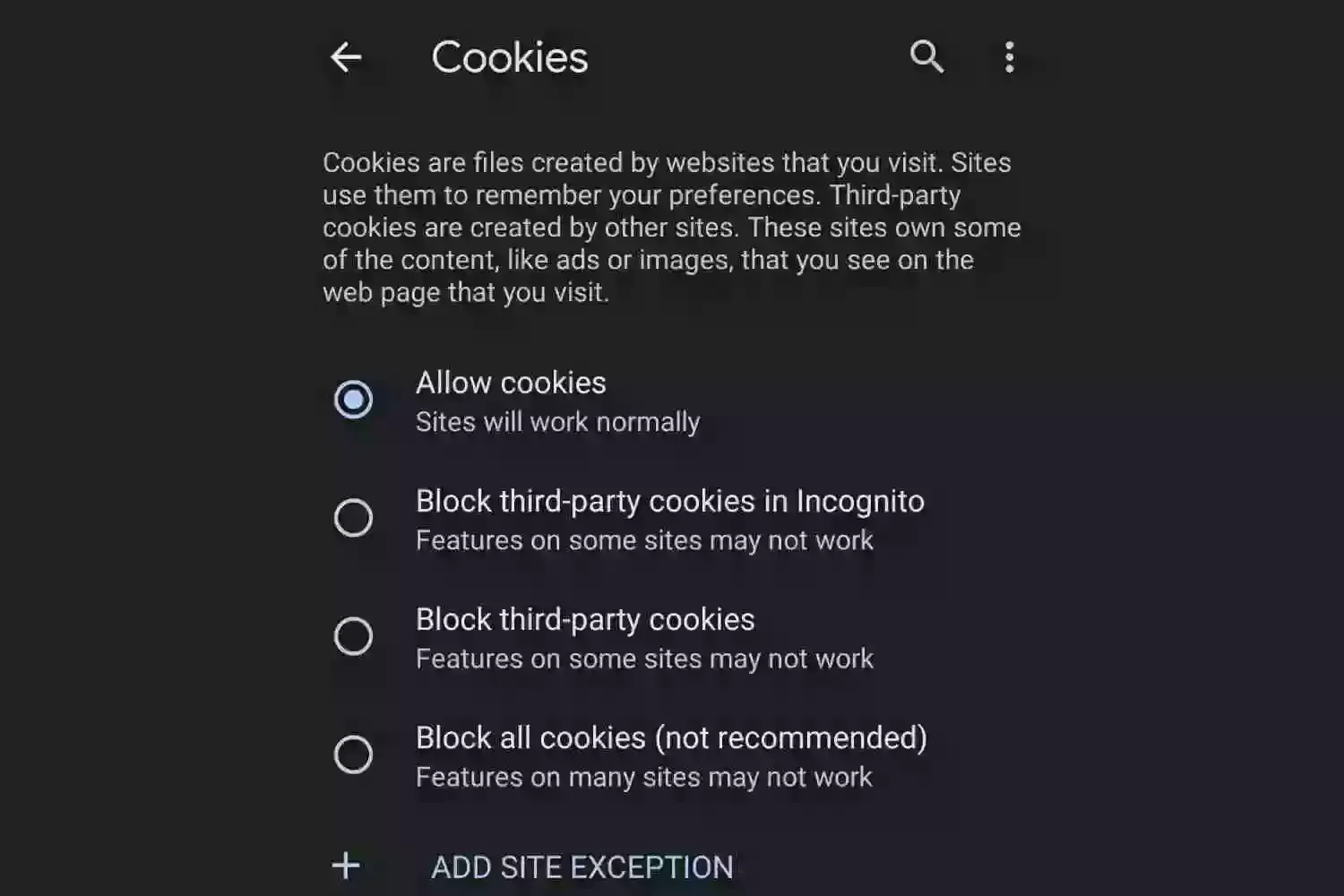 How do you enable cookies in your browser