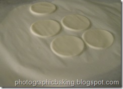 Gum paste circles