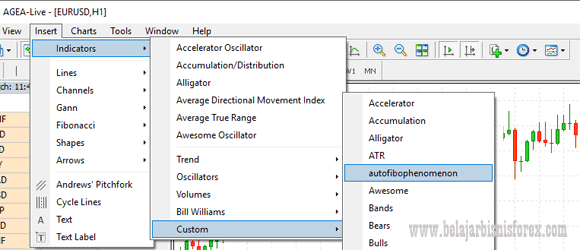 Mengaktifkan Indikator Custom di Metatrader