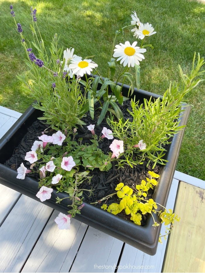 Planter painted and filled with flowers