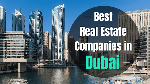 Real Estate Business in Dubai?