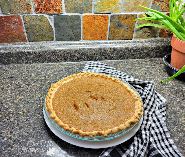 A pumpkin pie on a black granite counter, with a black and white checked kitchen towel